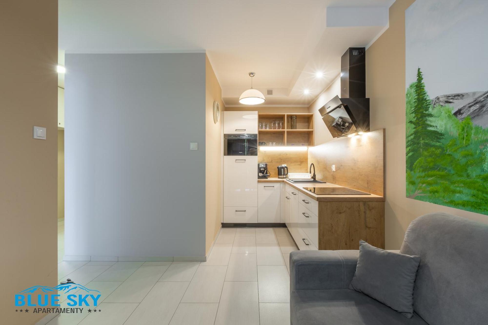Apartamenty Bluesky - Nad Lomnica 14 - Centrum Karpacza, Blisko Deptaka المظهر الخارجي الصورة